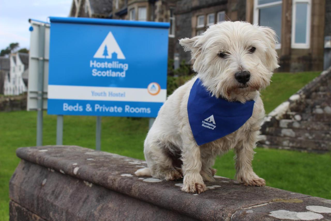 Oban Youth Hostel מראה חיצוני תמונה The West Highland White Terrier is the official dog of the AA